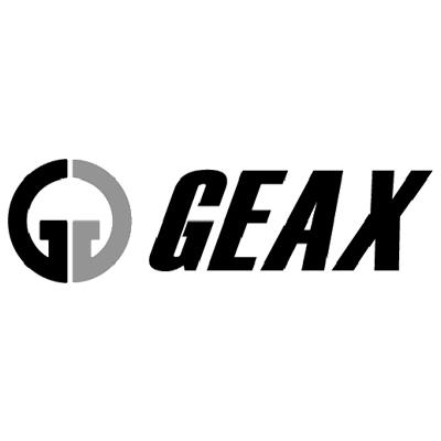 Geax Srl